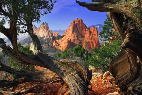 Iconic rocks framed with tree Garden of the Gods framed red rocks and trees in Colorado Springs, local highlight by nestago®.